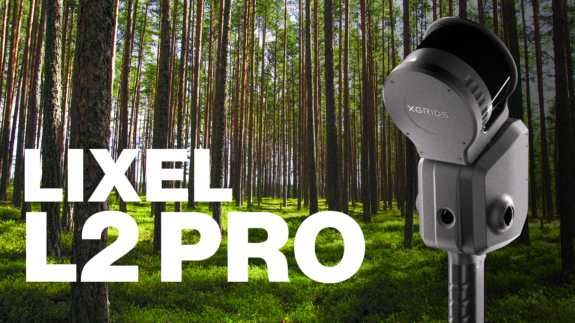 Lixel L2 Pro Wald