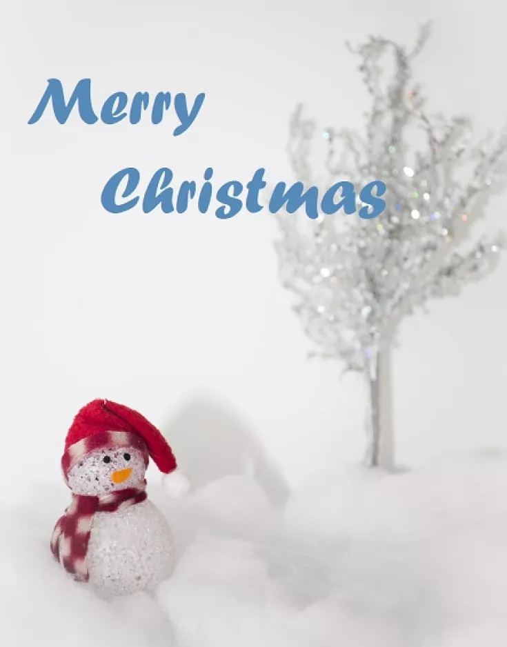 Laserscanning Europe wünscht Ihnen frohe Weihnachten.