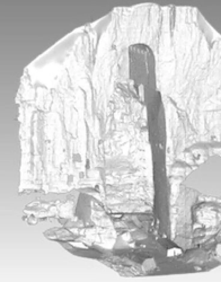 Scan of the large niche in Geomagic Studio (Image source: 3D Systems)