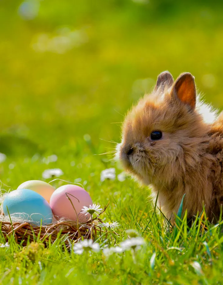 Ostern 2025