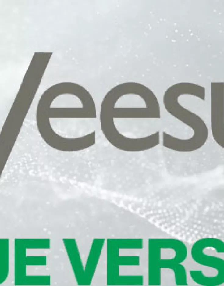 Arena4D stellt neuen High Fidelity Screen Capture Modus und Voxel-Konvertierung vor.
