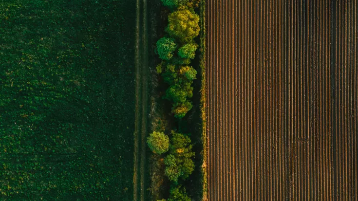 Landwirtschaft Felder