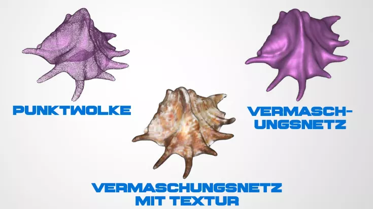 Punktwolke, Vermaschung und Vermaschung mit Textur