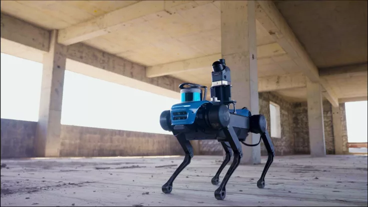 RS7 auf Robotic Hund