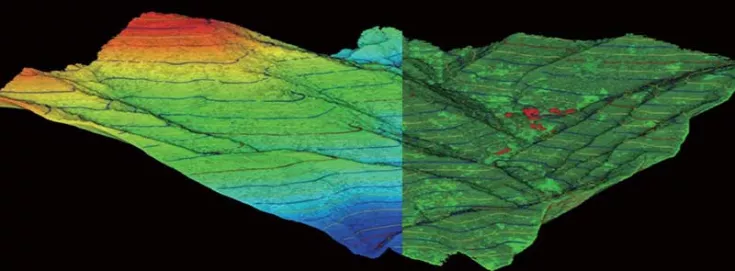 Geländeanalyse in LiDAR360
